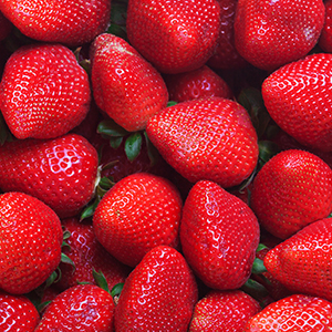 fragole-basilicata-candonga